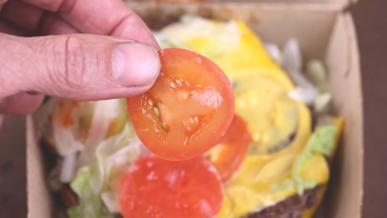 Φύτεψε ντομάτα από χάμπουργκερ McDonald’s - Το αποτέλεσμα μετά από 124 ημέρες έγινε viral