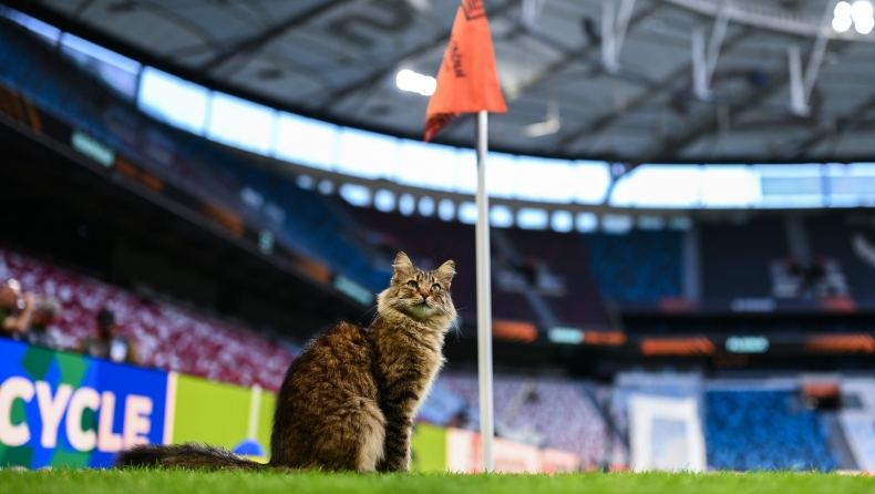 Τελικός Europa League 2026: Ο πρωταγωνιστής ήταν μια γάτα