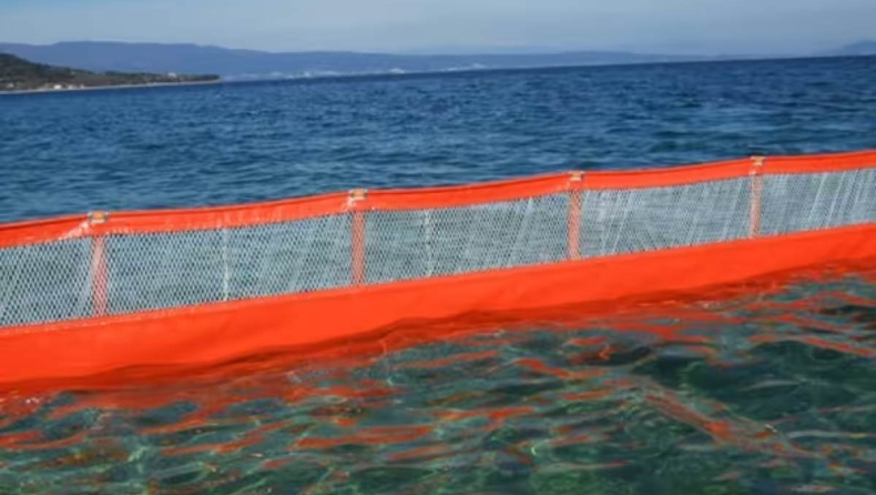 Στην Εύβοια έβαλαν φράγματα 10 χιλιομέτρων για τις μωβ μέδου