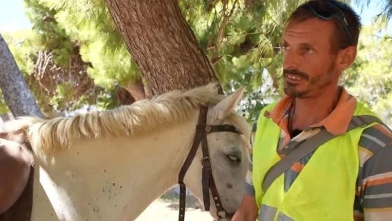 Αλκοτέστ και... άλογα: Το παράδοξο περιστατικό στην Άνδρο και τι προβλέπει ο ΚΟΚ