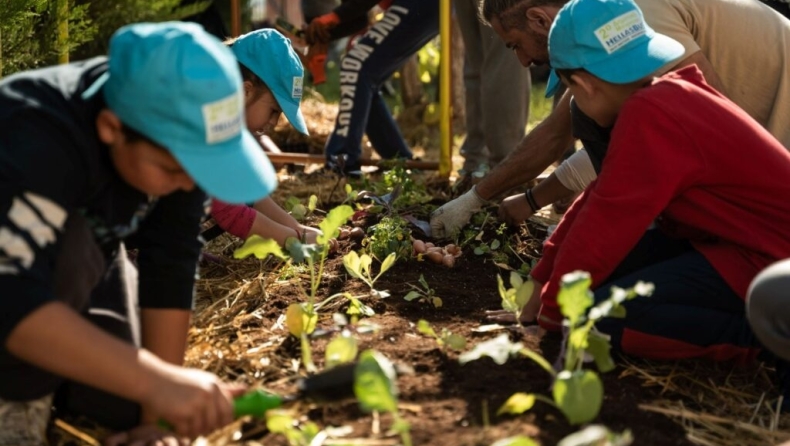 South Aegean Open Farm Days 2026: Γνωρίζοντας τη γη και τις γεύσεις των νησιών