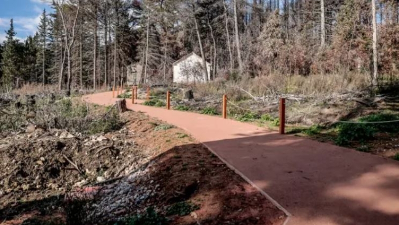 Σύλληψη ηθοποιών και σκηνοθέτη στο Τατόι για γυρίσματα με ψεύτικο όπλο: Αναστάτωση από «πυροβολισμούς» και «κραυγές» μέσα στη νύχτα (vid)