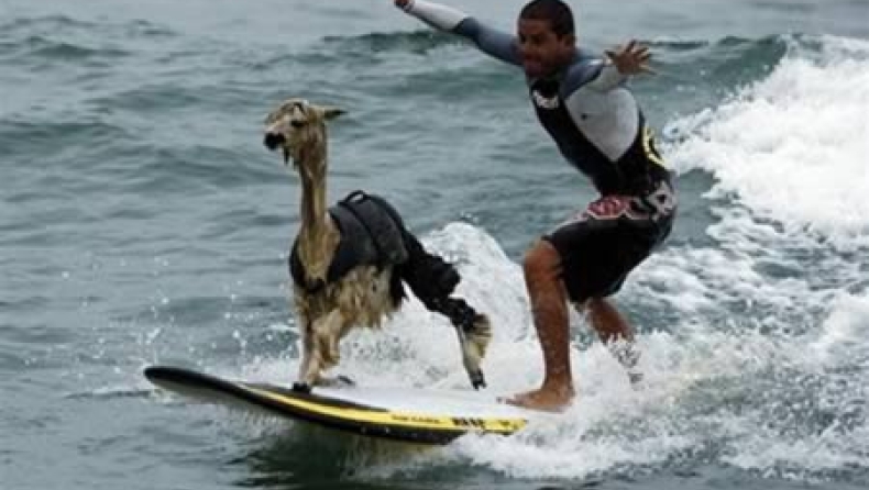 Σέρφερ από τα... παραμύθια (pics)