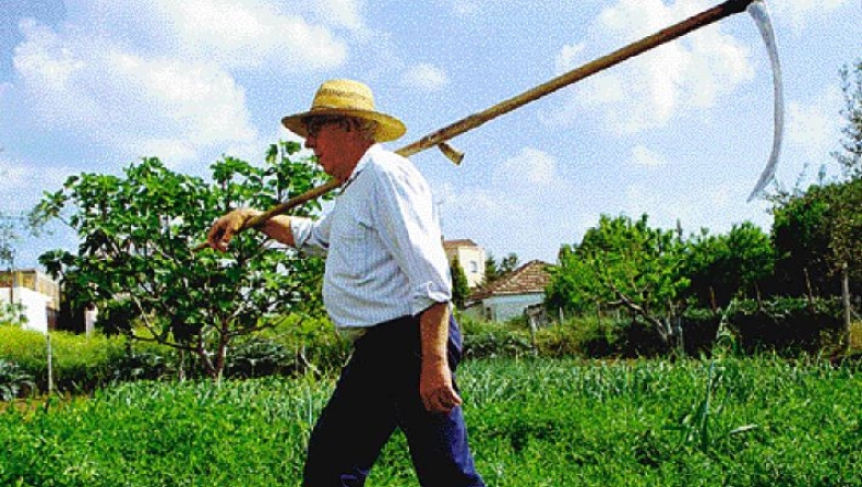 37.000 αγρότες «έκλεψαν» 244 εκατομμύρια