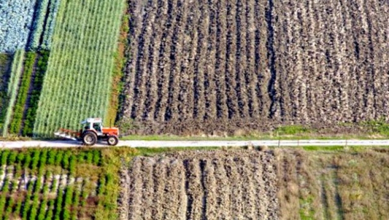 Μεγάλη απάτη με αγρότες στη Θήβα | PLUS by gazzetta