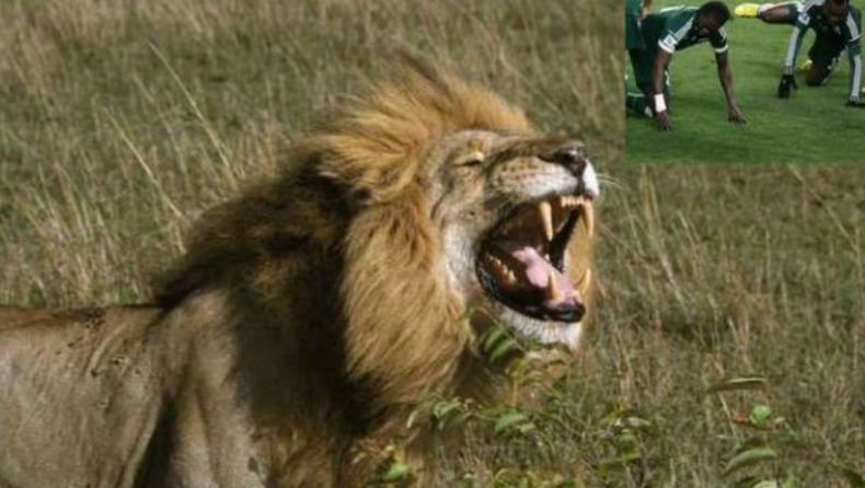 Έχει και η ΑΕΚ το ...λιοντάρι της!