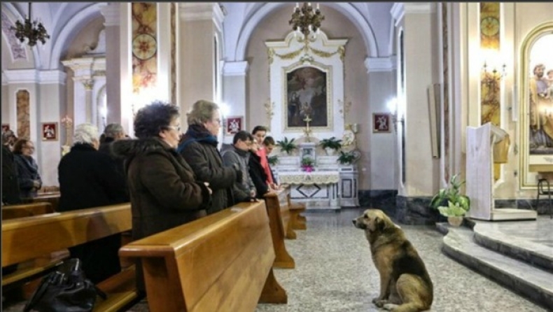 Πέθανε ο πιο πιστός σκύλος