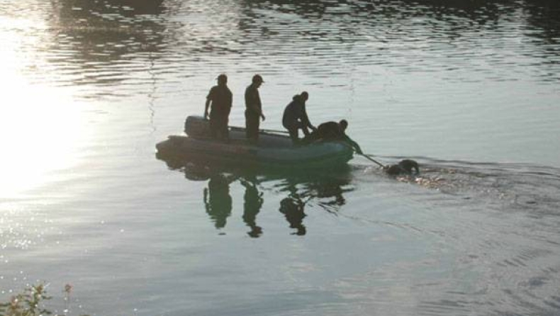 Τι έκαναν τα κτήνη;