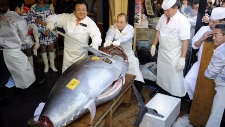 Ψάρι αξίας... 565,000 ευρώ