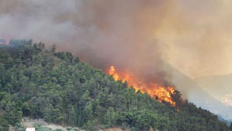 Κάηκαν 5 στρέμματα δάσους στον Ταΰγετο