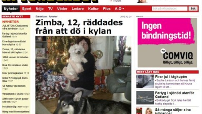 Κάτι προβλήματα που έχουν οι Σουηδοί