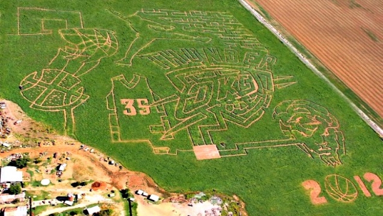 If you build it, he will come (pic)