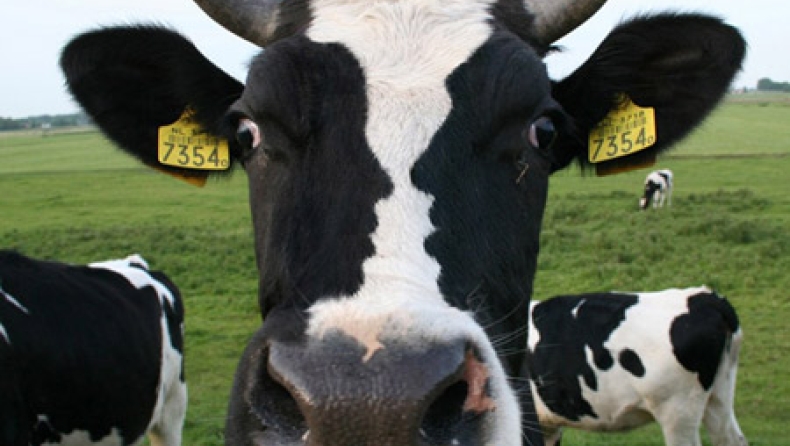 Απίθανες οφθαλμαπάτες