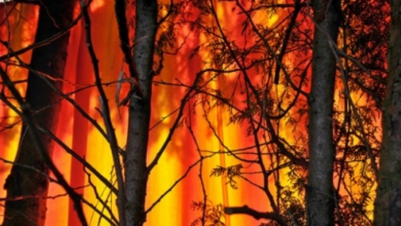 Η χώρα στις φλόγες