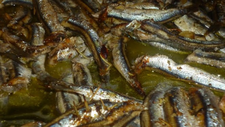 Φάγανε... γαύρο!