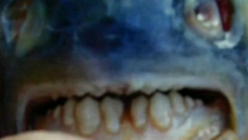 Εξωτικό ψάρι δαγκώνει τους όρχεις!