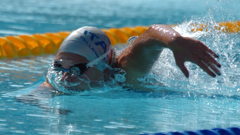 Δια... χειρός Πελεγκρίνι