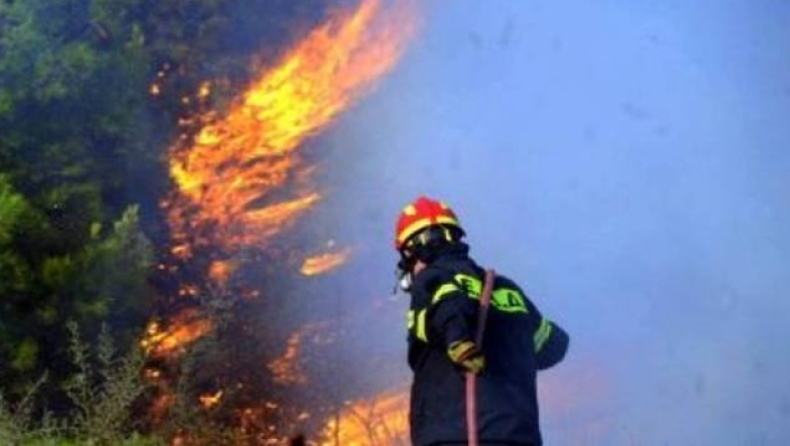 «Πέθανε από την αδιαφορία τους!»