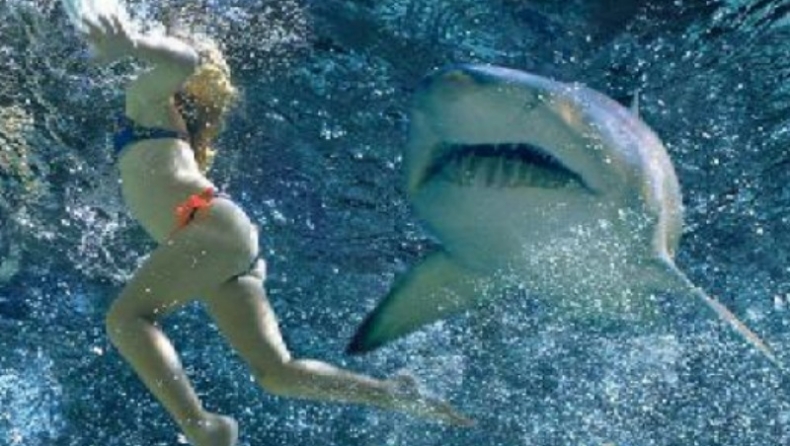 Νέα Σμύρνη: Παγκόσμια πρωτεύουσα σε επιθέσεις καρχαριών!