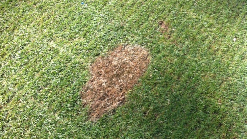 «Κανένα πρόβλημα με ΟΑΚΑ»