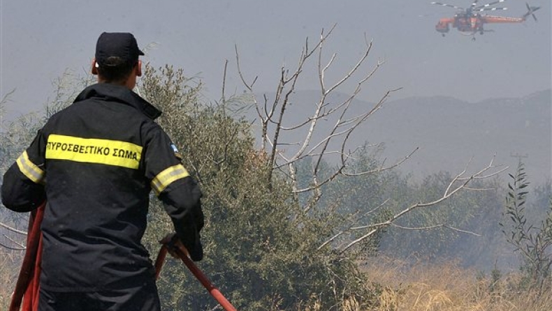 Κάηκαν σπίτια από φωτιά στο Μαραθώνα (vid)