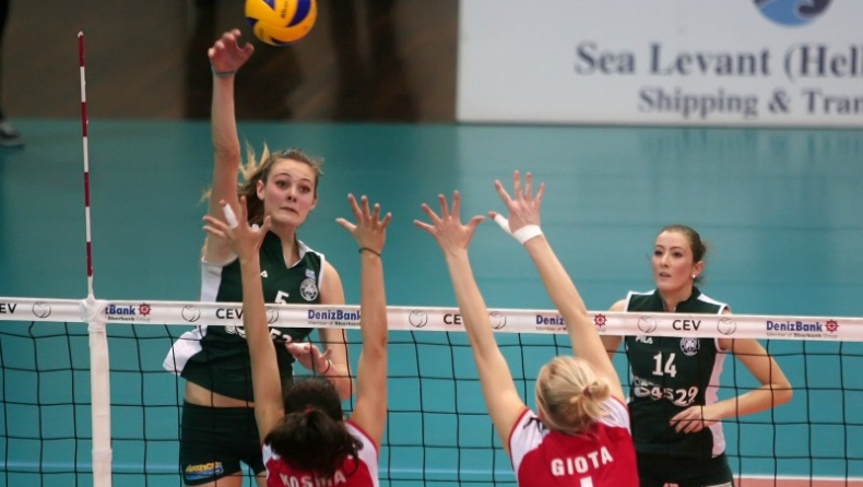 Παναθηναϊκός: «Καλή επιτυχία Ανθή»