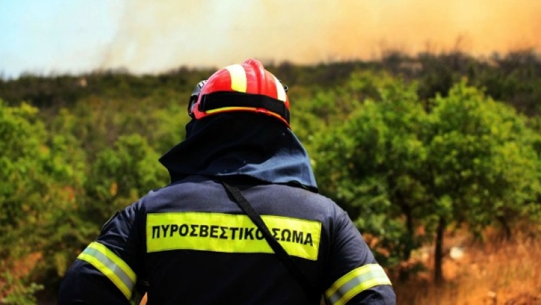 Έπιασαν εμπρηστή επ' αυτοφόρω