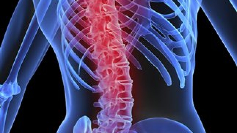 «Πάστα οστών» στη μάχη κατά της οστεοπόρωσης