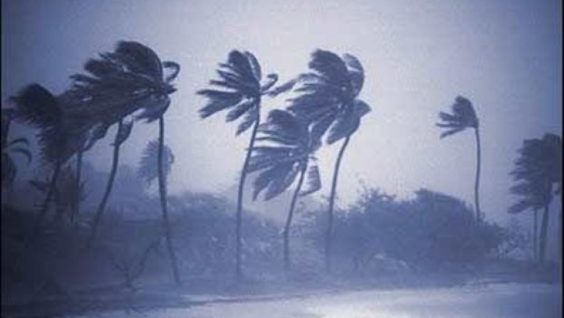 Αν χτυπούσε μουσώνας την Αττική τι θα προσπαθούσες να διασώσεις;