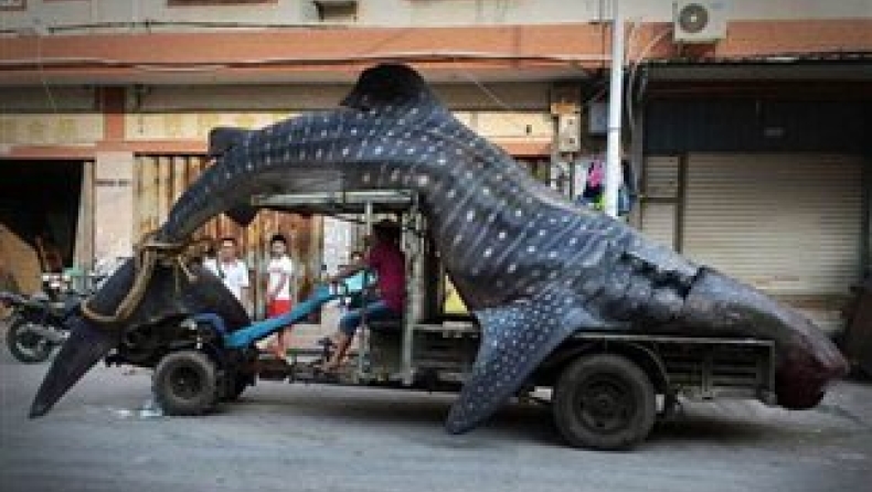 Οι καλύτερες φωτογραφίες του 2014 (pics)