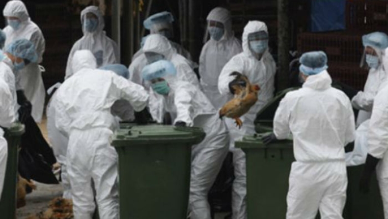 Το Χονγκ Κονγκ αυξάνει το συναγερμό για τη γρίπη των πτηνών