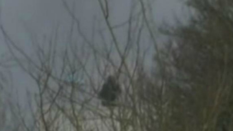 Η στιγμή που ο μακελάρης του Charlie Hebdo πέφτει νεκρός (vid)