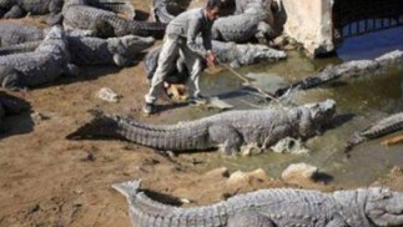 Ζουν επικίνδυνα (pics)