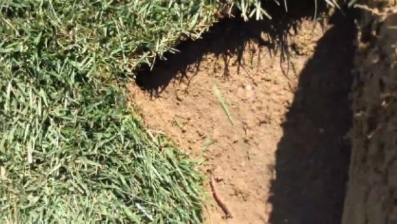 Το βίντεο του ΠΑΟΚ για την Κομοτηνή