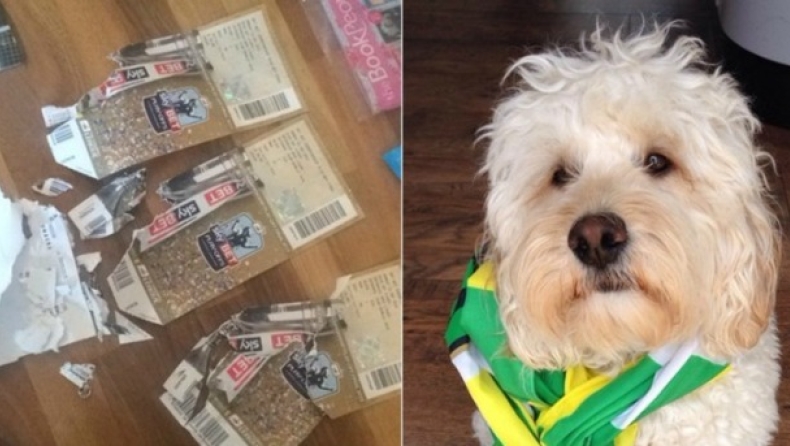 Ο σκύλος του έφαγε το εισιτήριο του τελικού! (pics)