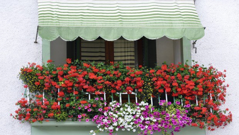 Από τέντες ξέρετε;;