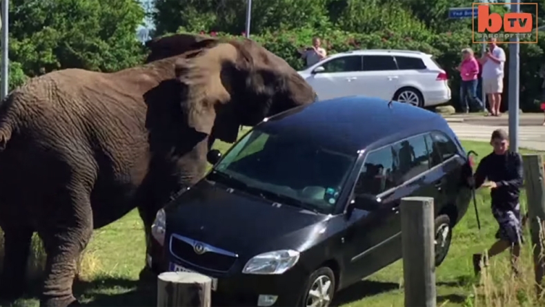 Αυτή είναι δύναμη (video)