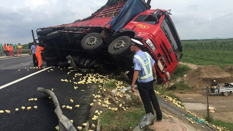 Πλιάτσικο με πουλερικά (video + pics)