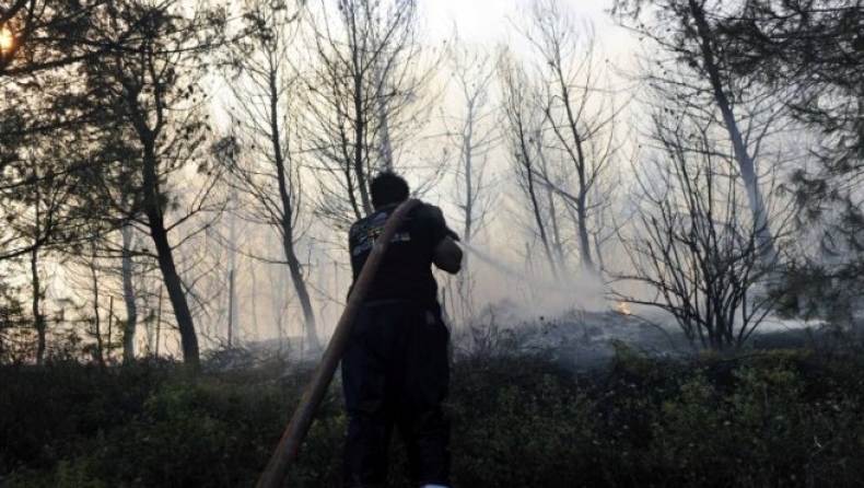 Πυρκαγιά ξέσπασε στην Κεφαλονιά