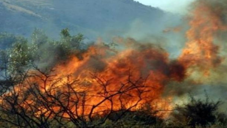 Wildfire in Corfu burns out of control, authorities request assistance