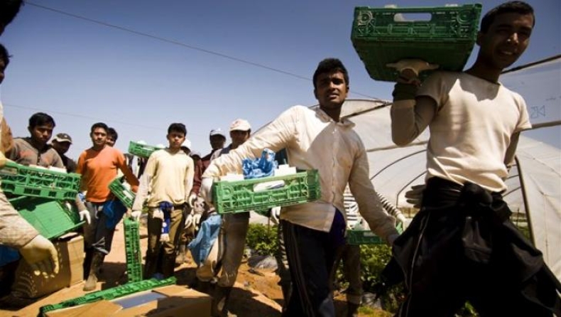 Το σχέδιο κατά της μαύρης εργασίας