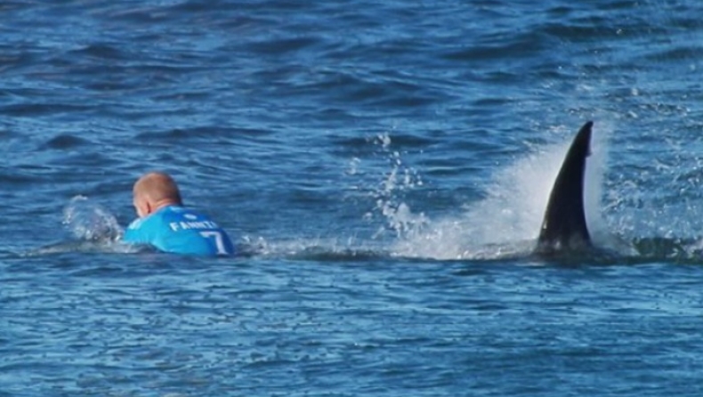 Ρεκόρ επιθέσεων από καρχαρίες σε ανθρώπους το 2015