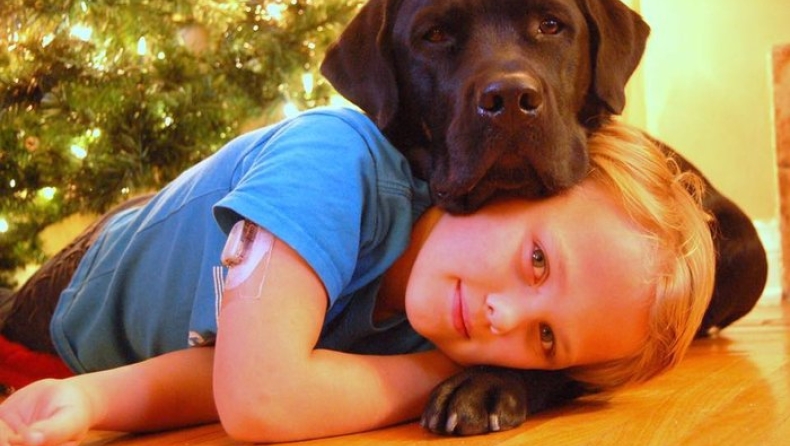 Λαμπραντόρ έσωσε τον 7χρονο Luke από βέβαιο θάνατο (vid)