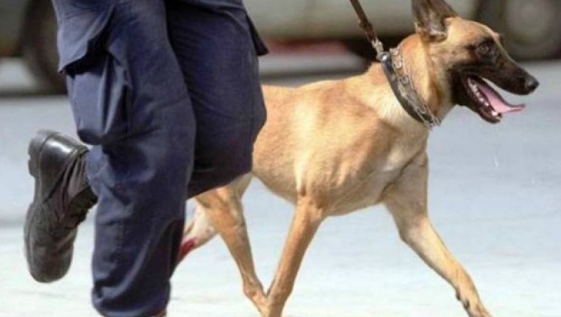 Χαλκίδα: Σκύλος της αστυνομίας βρήκε την ηρωίνη, το χασίς και τα όπλα