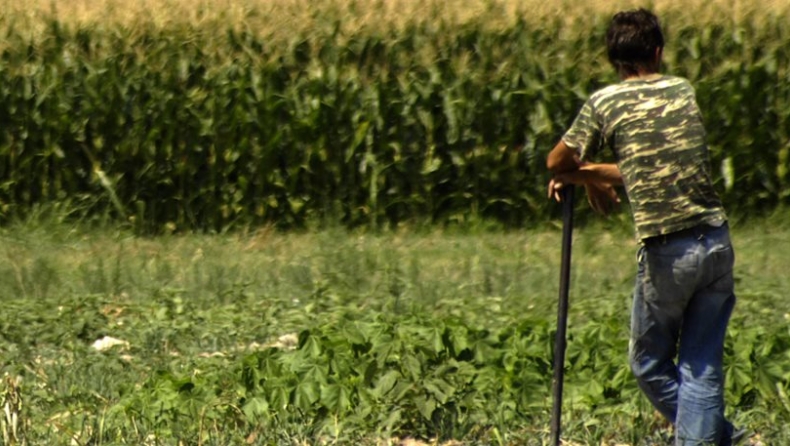 «Kόφτης» και στις αγροτικές ενισχύσεις