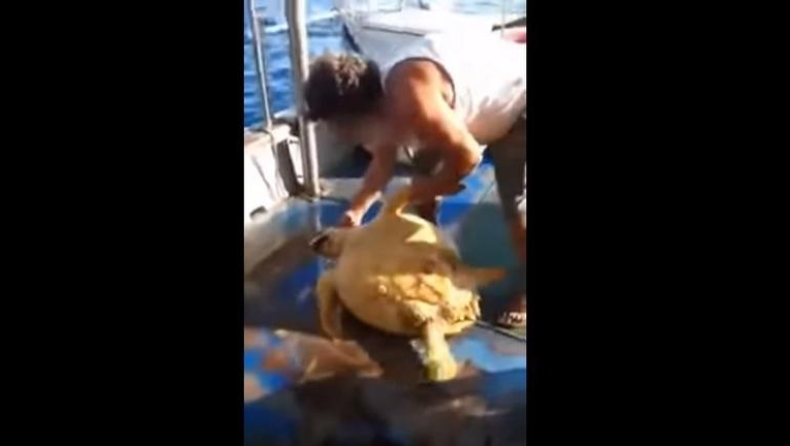 Δικογραφία κατά του ψαρά που κακοποίησε χελώνα και το ανέβασε στο Facebook (vid)
