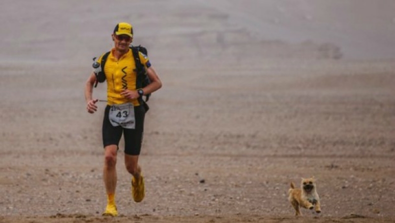 Αδέσποτο έτρεξε 126 χλμ στον μαραθώνιο που άλλαξε τη ζωή του (pics)