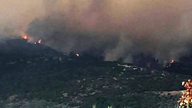 Κόλαση φωτιάς στη Θάσο: Κάηκαν σπίτια, απειλούνται χωριά (pics)