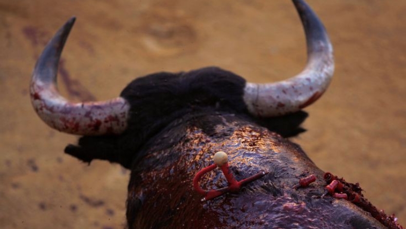 Χιλιάδες Ισπανοί ζητούν την κατάργηση των ταυρομαχιών