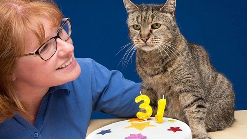 Ο γάτος «μαθουσάλας» που έκλεισε τα 31